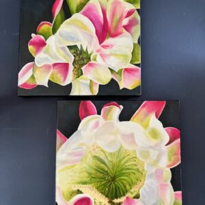Viewing Each Day as New Beginning I & II, 2026 diptych (Night Blooming Peruvian Cactus)